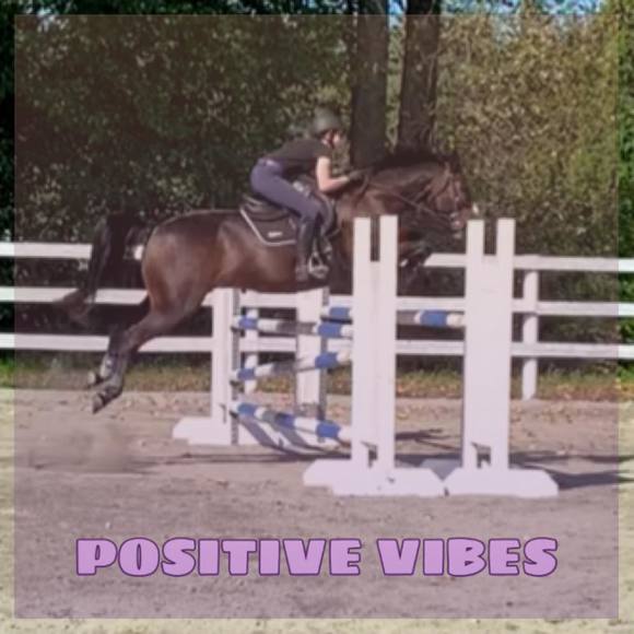 Meet your Posher, Cassie - Picture 1 of 1